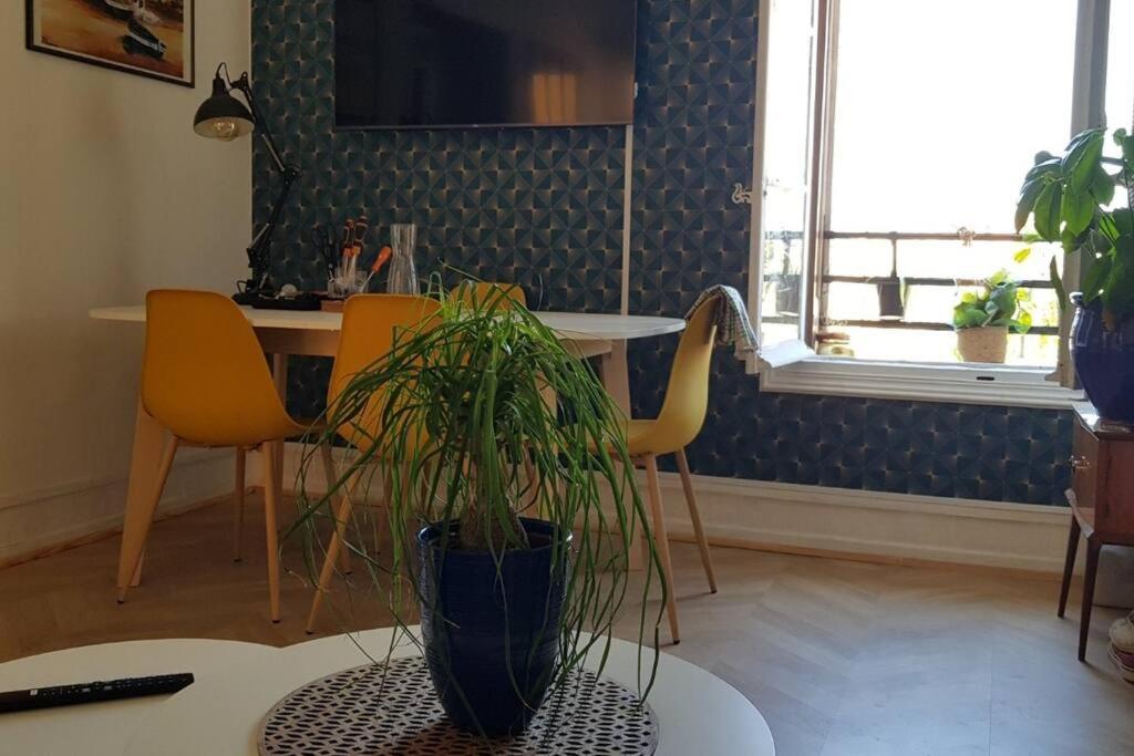Appartement 300 M Plage Et Port Banyuls-sur-Mer Eksteriør billede