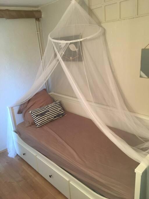 Appartement 300 M Plage Et Port Banyuls-sur-Mer Eksteriør billede