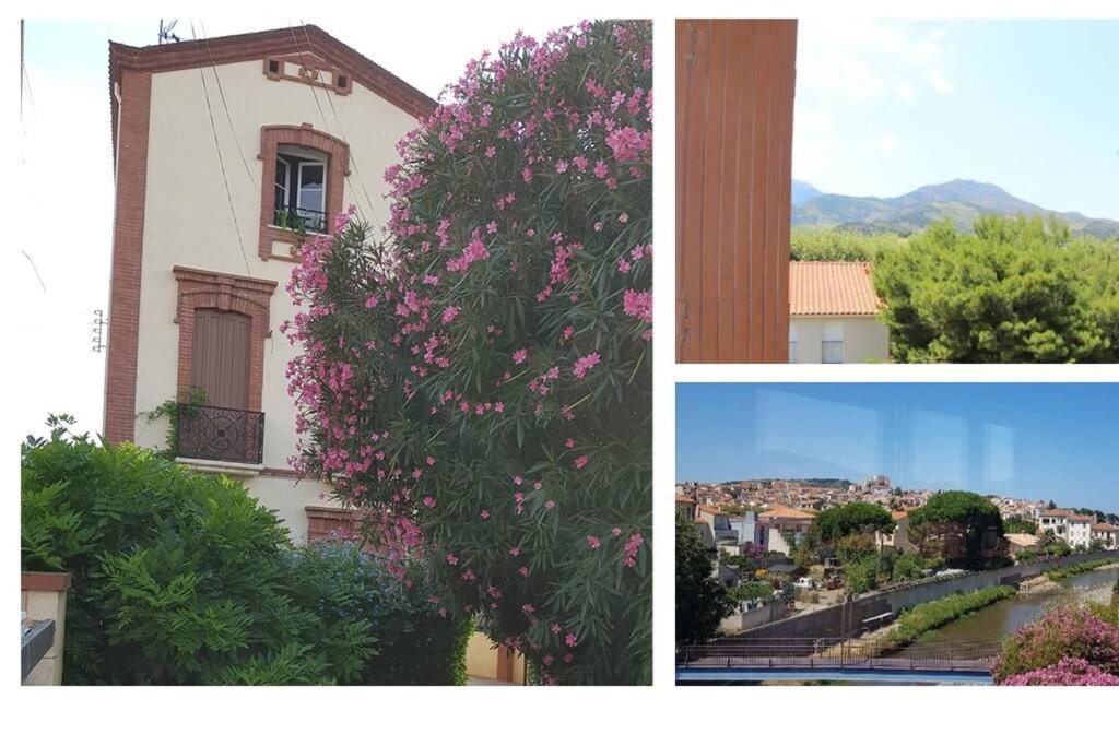 Appartement 300 M Plage Et Port Banyuls-sur-Mer Eksteriør billede