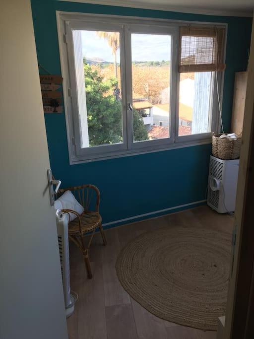 Appartement 300 M Plage Et Port Banyuls-sur-Mer Eksteriør billede