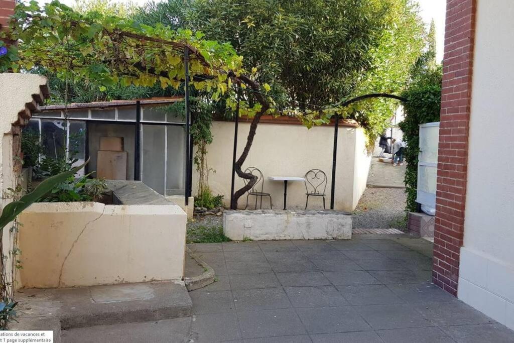 Appartement 300 M Plage Et Port Banyuls-sur-Mer Eksteriør billede