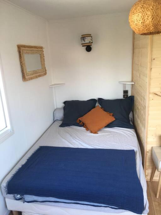 Appartement 300 M Plage Et Port Banyuls-sur-Mer Eksteriør billede