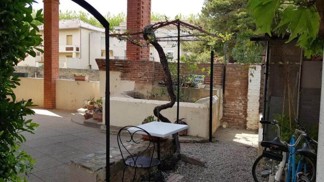 Appartement 300 M Plage Et Port Banyuls-sur-Mer Eksteriør billede